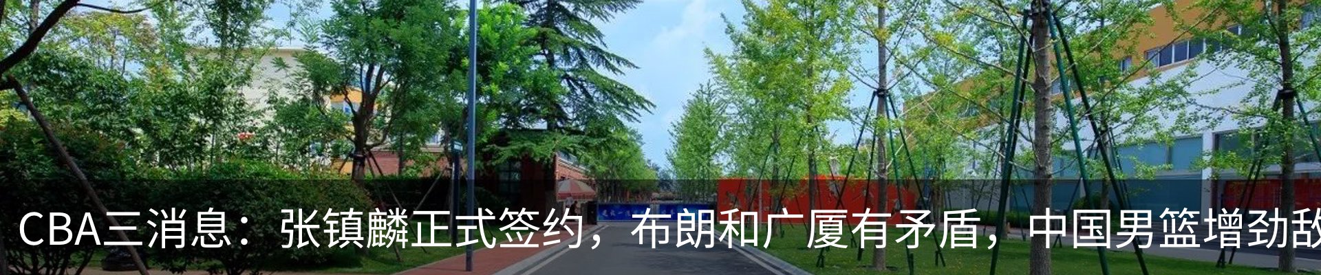 内页banner